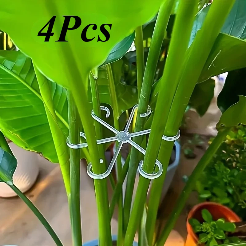 Plant Parenting - 4-teilige Pflanzenstiel-Stützclips Gartenbau Monstera-Fixator Hydroponische Baumzweig-Fixierung