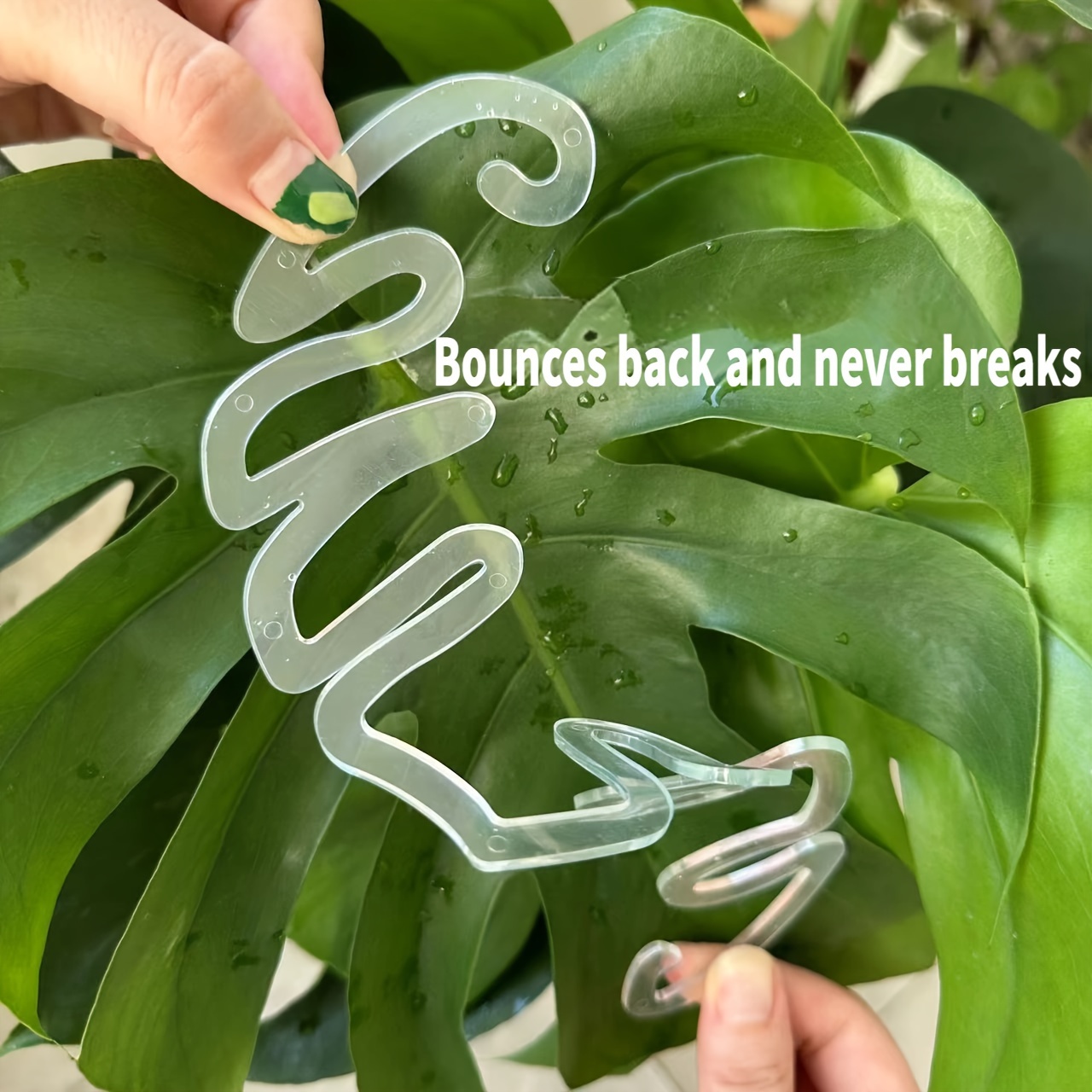 Flexible Kunststoff-Monstera-P – Variegated Monstera Node Bewertung und Preis
