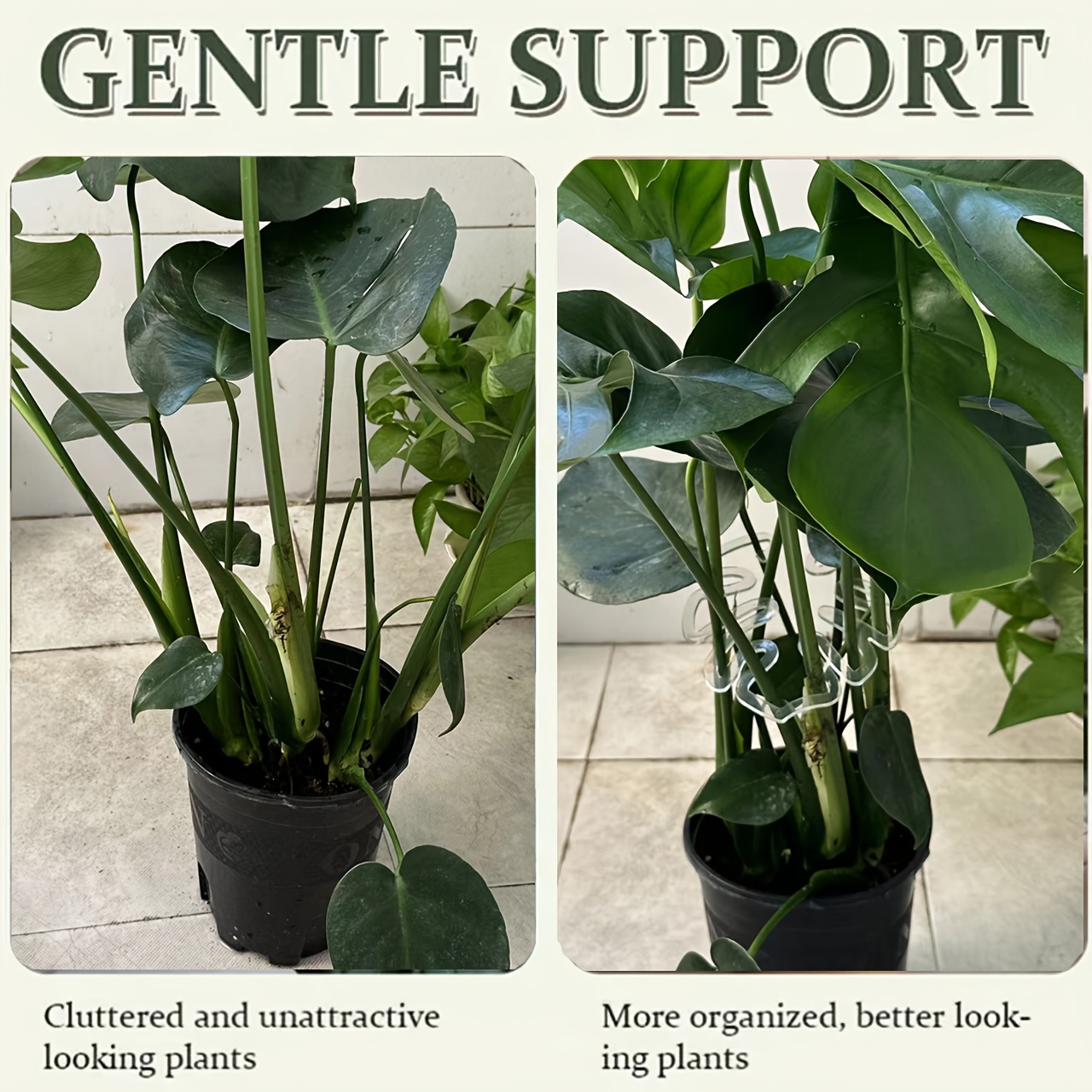 Flexible Kunststoff-Monstera-P – Variegated Monstera Node Bewertung und Preis