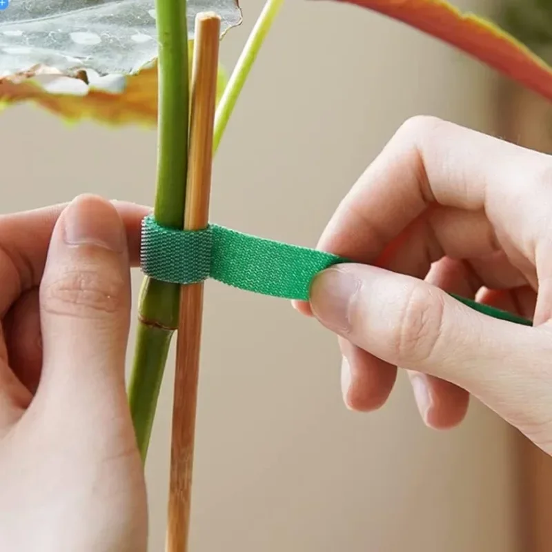 2M Wiederverwendbare Pflanzenb – Plant Parenting Bewertung und Preis