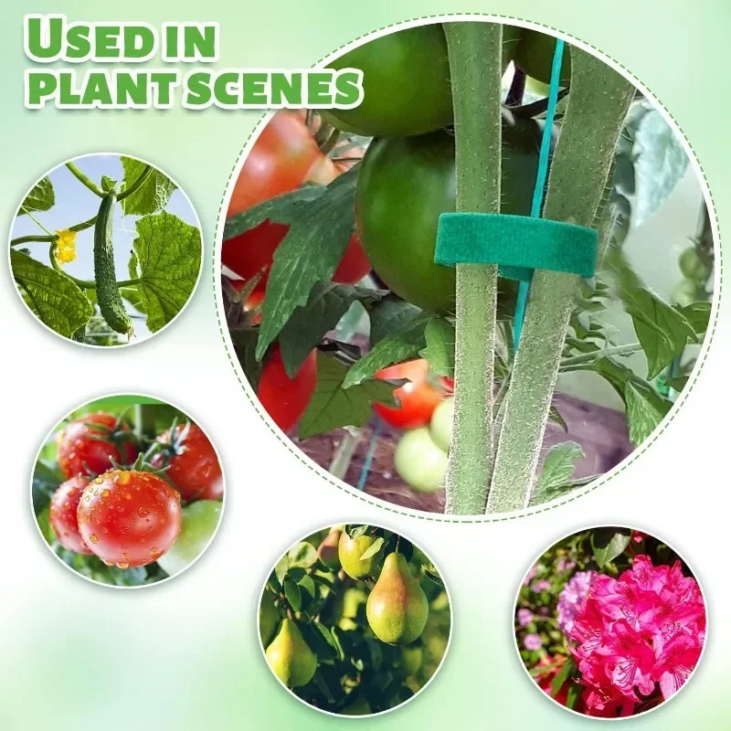 2M Wiederverwendbare Pflanzenb – Plant Parenting Bewertung und Preis