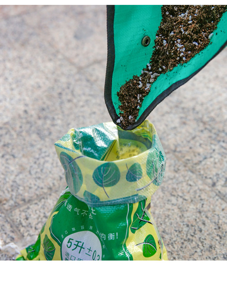 Pflanzumsetzungsmatte Wasserdi – Plant Parenting Bewertung und Preis