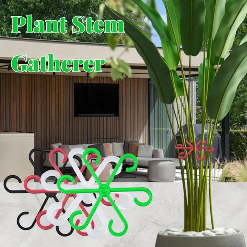 4 Stück Kletterpflanzen Stützk – Variegated Monstera Node Bewertung und Preis