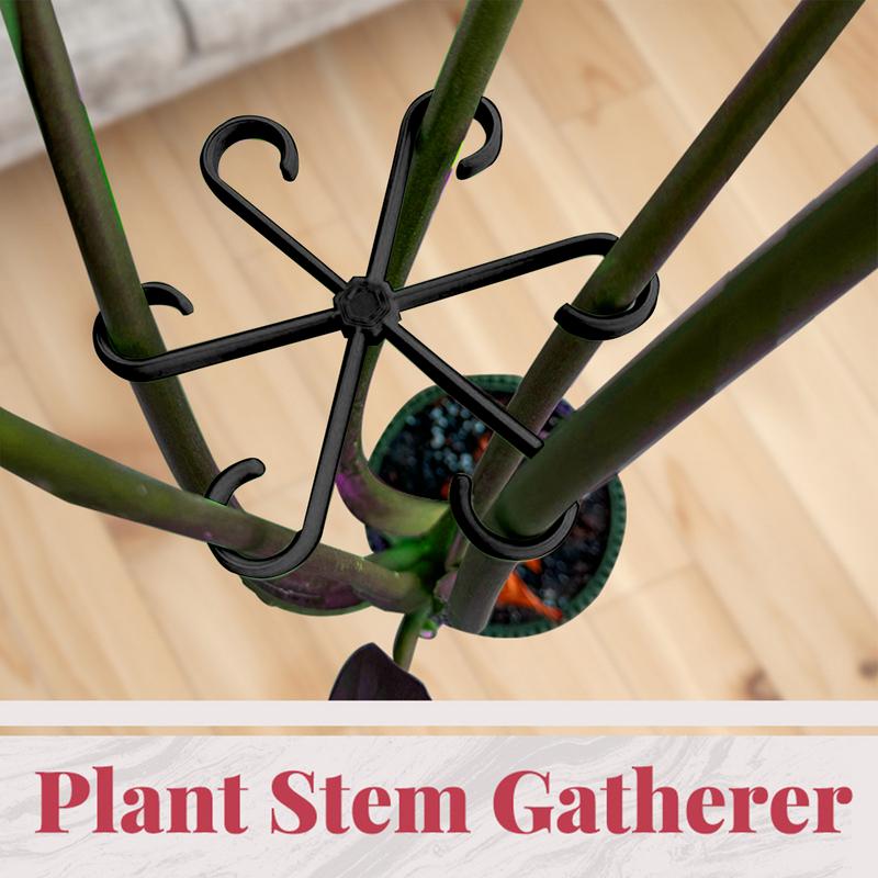 4 Stück Kletterpflanzen Stützk – Variegated Monstera Node Bewertung und Preis