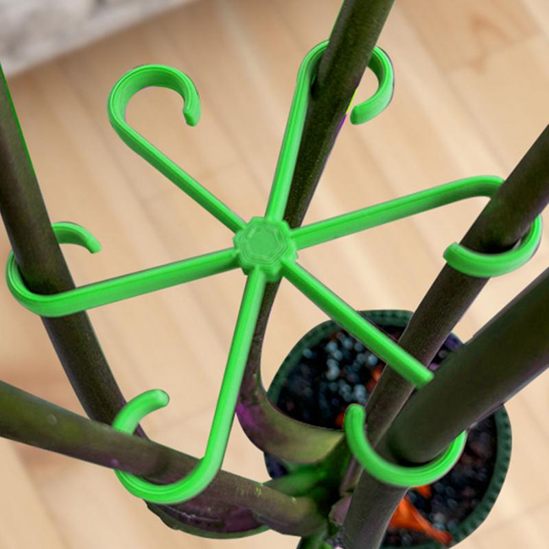 4 Stück Kletterpflanzen Stützk – Variegated Monstera Node Bewertung und Preis