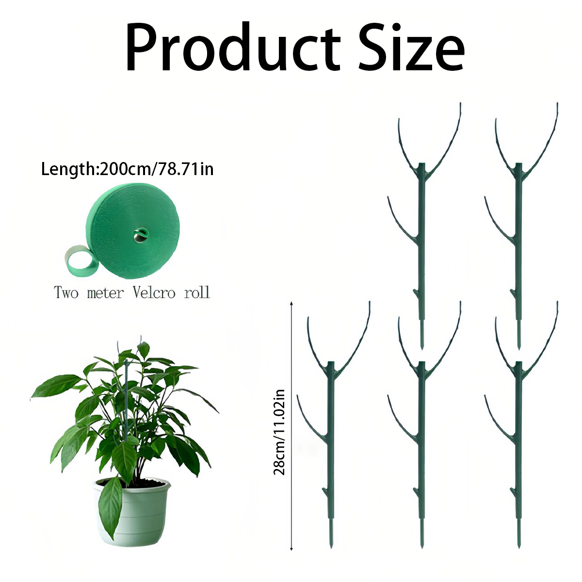 6 Stück Monstera-Pflanzenstütz – Variegated Monstera Node Bewertung und Preis