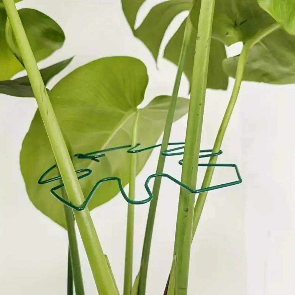 1 Stück großer Pflanzenständer – Variegated Monstera Node Bewertung und Preis