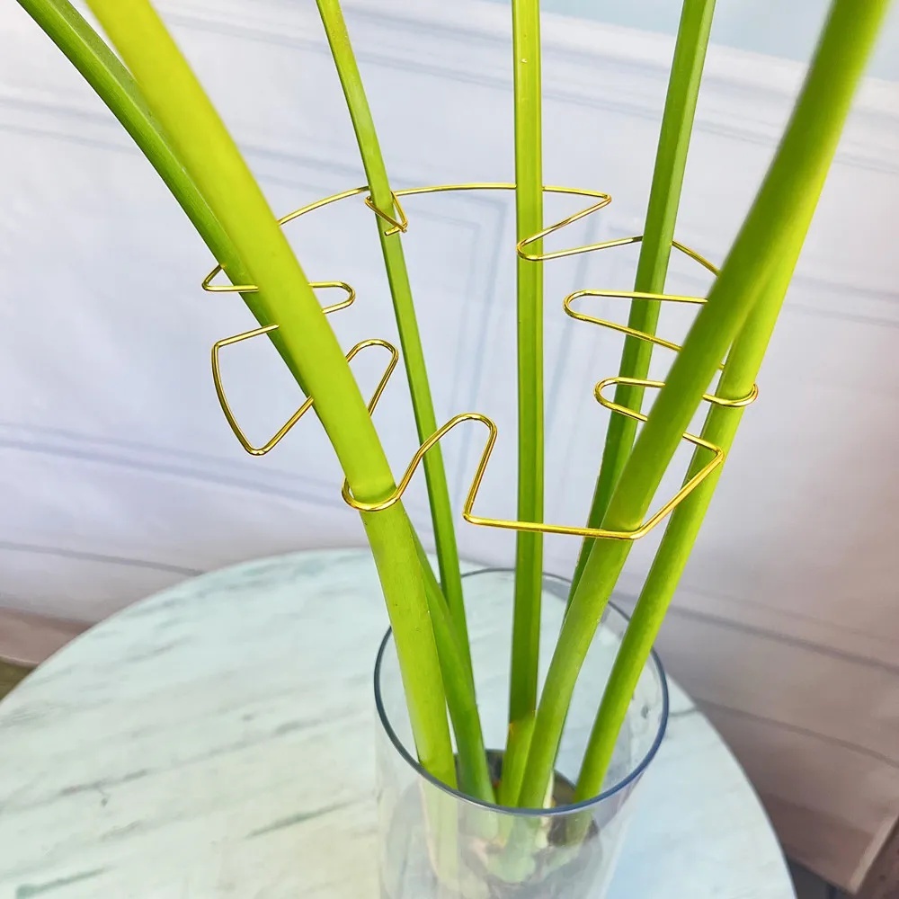 1 Stück großer Pflanzenständer – Variegated Monstera Node Bewertung und Preis