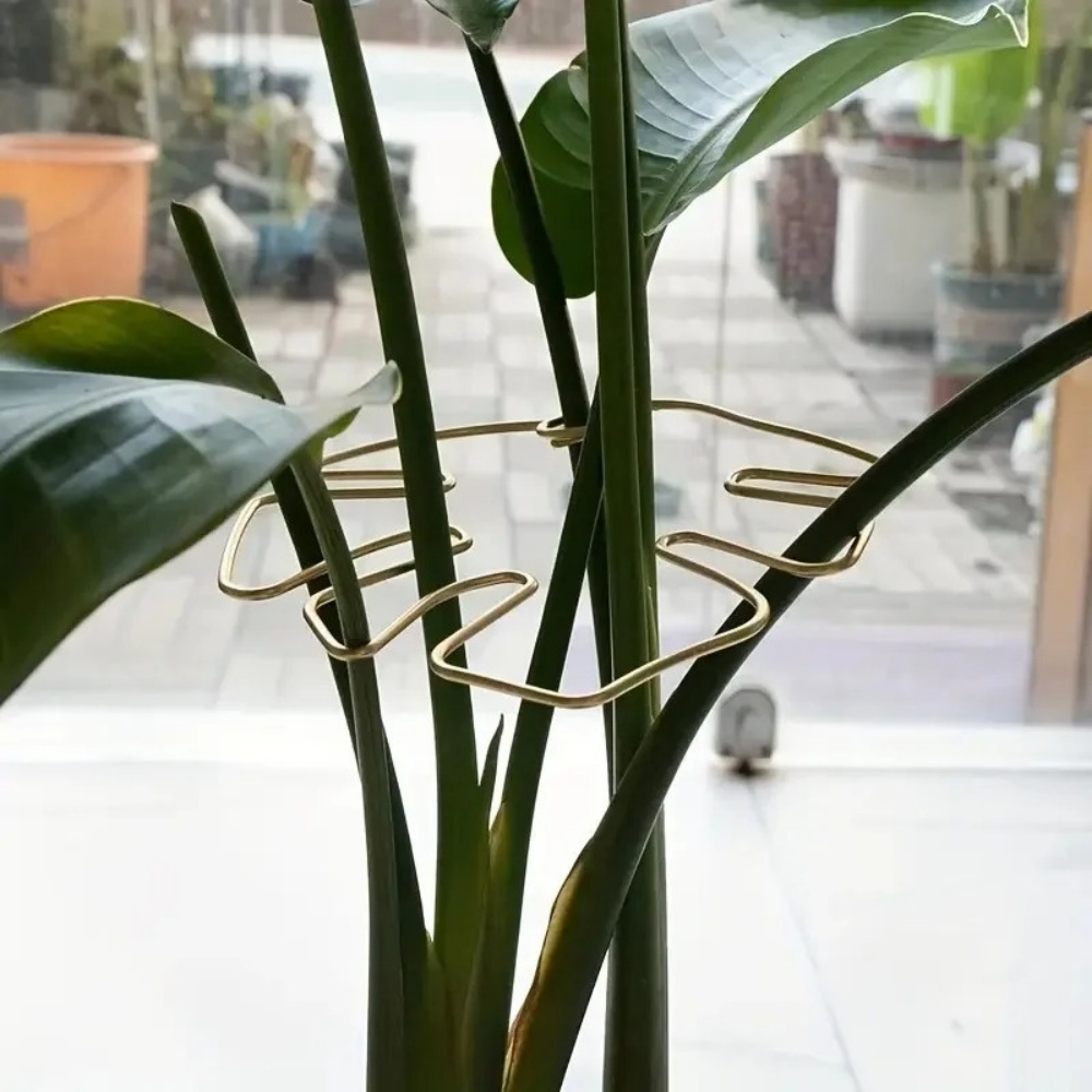 1 Stück großer Pflanzenständer – Variegated Monstera Node Bewertung und Preis