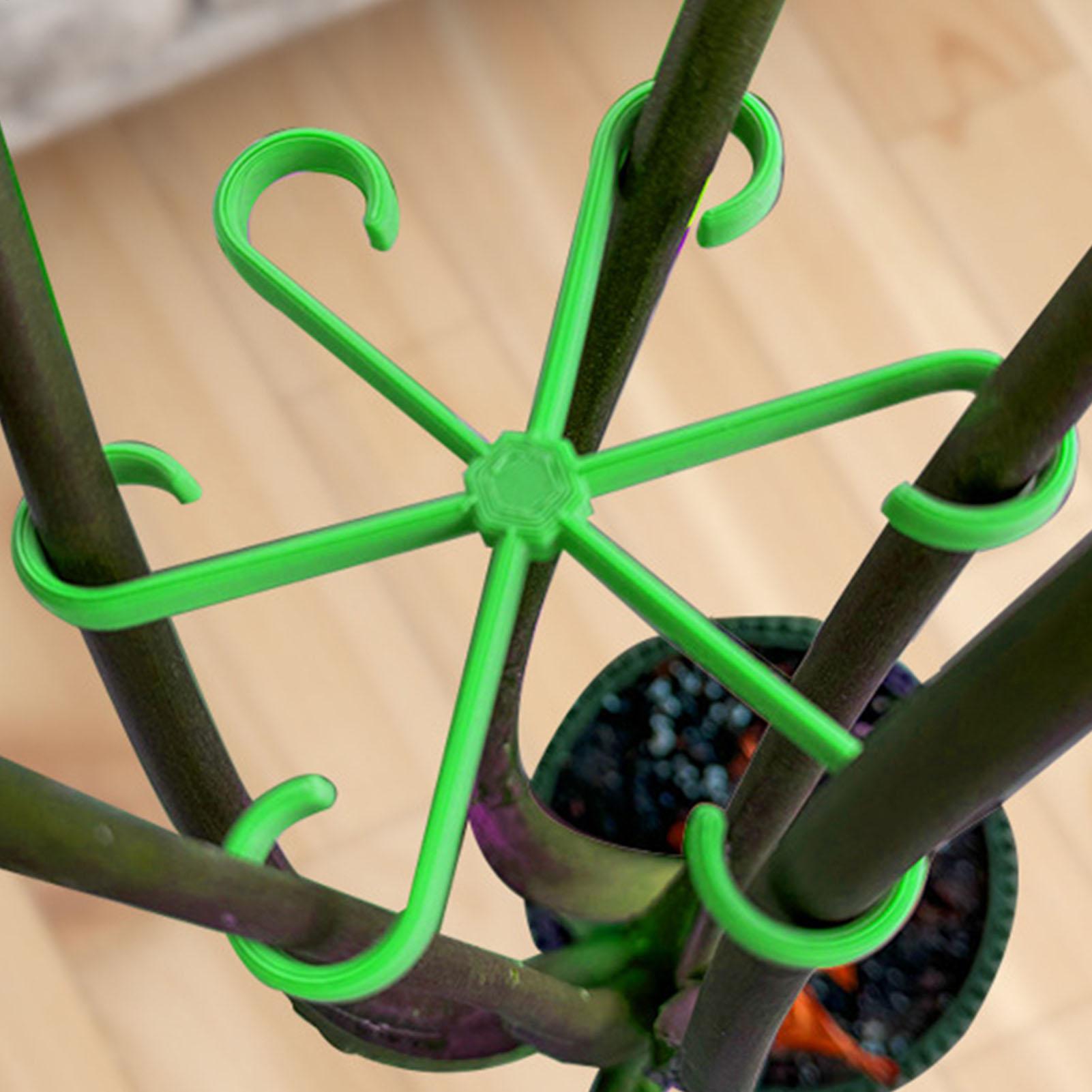 4 Stück Pflanzenstiel-Stützcli – Variegated Monstera Node Bewertung und Preis