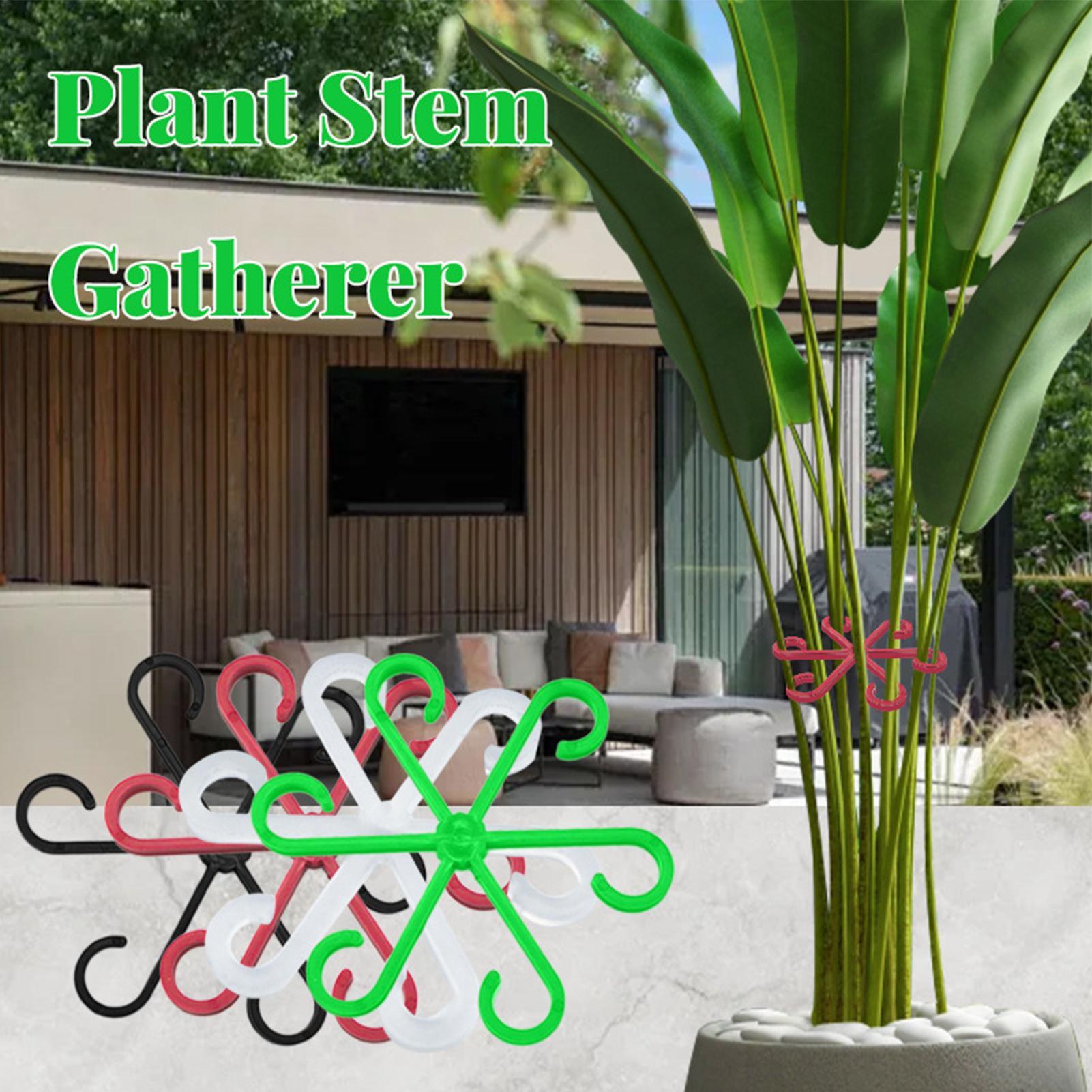 4 Stück Pflanzenstiel-Stützcli – Variegated Monstera Node Bewertung und Preis