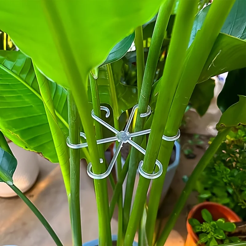 4-teilige Pflanzenstiel-Stützc – Plant Parenting Bewertung und Preis