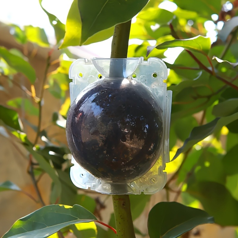 10-teiliges Hochdruck-Pflanzen – Plant Parenting Bewertung und Preis