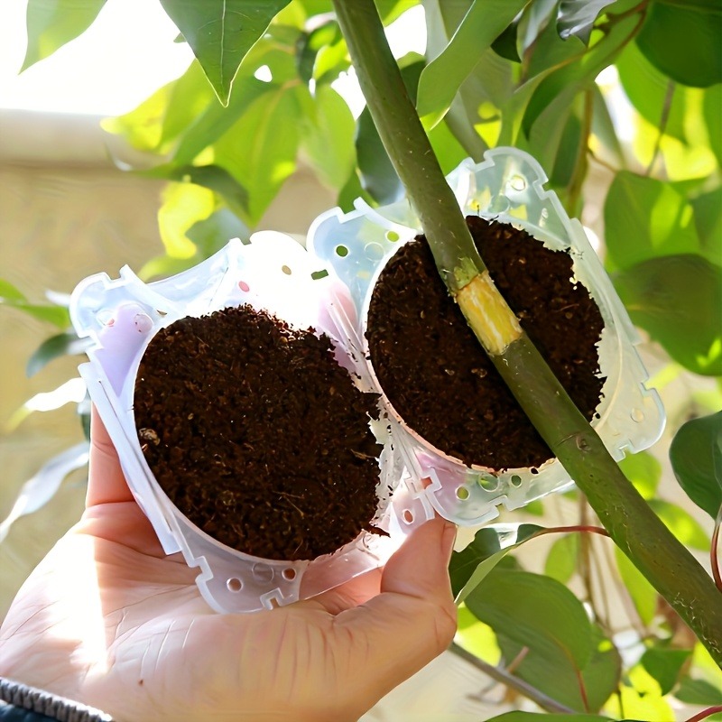 10-teiliges Hochdruck-Pflanzen – Plant Parenting Bewertung und Preis